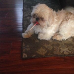 Meet your Posher, Jason